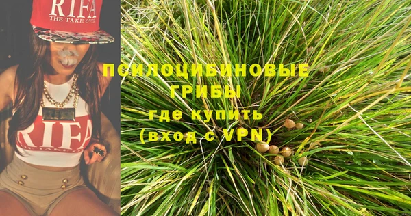 ALPHA PVP Бородино